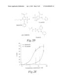 AQUAPORIN MODULATORS AND METHODS OF USING THEM FOR THE TREATMENT OF EDEMA     AND FLUID IMBALANCE diagram and image