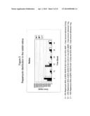 SUSTAINED DELIVERY FORMULATIONS OF RAPAMYCIN COMPOUNDS diagram and image