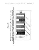 SUSTAINED DELIVERY FORMULATIONS OF RAPAMYCIN COMPOUNDS diagram and image