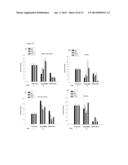 COMPOSITION AND METHOD FOR NEUROPROTECTION AGAINST EXCITOTOXIC INJURY diagram and image