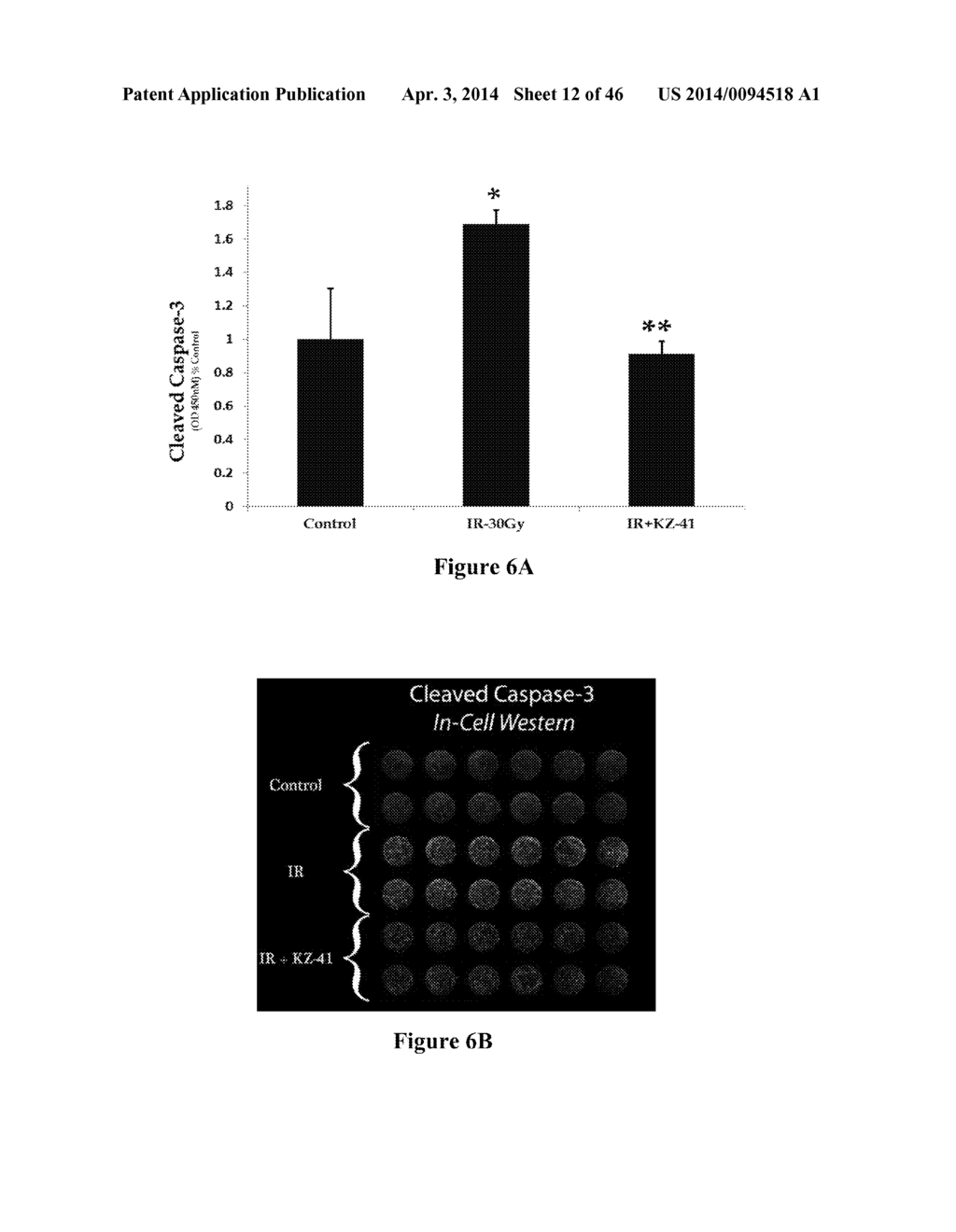 METHOD FOR REGULATING RETINAL ENDOTHELIAL CELL VIABILITY - diagram, schematic, and image 13