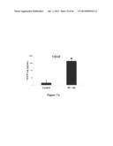 METHOD FOR REGULATING RETINAL ENDOTHELIAL CELL VIABILITY diagram and image