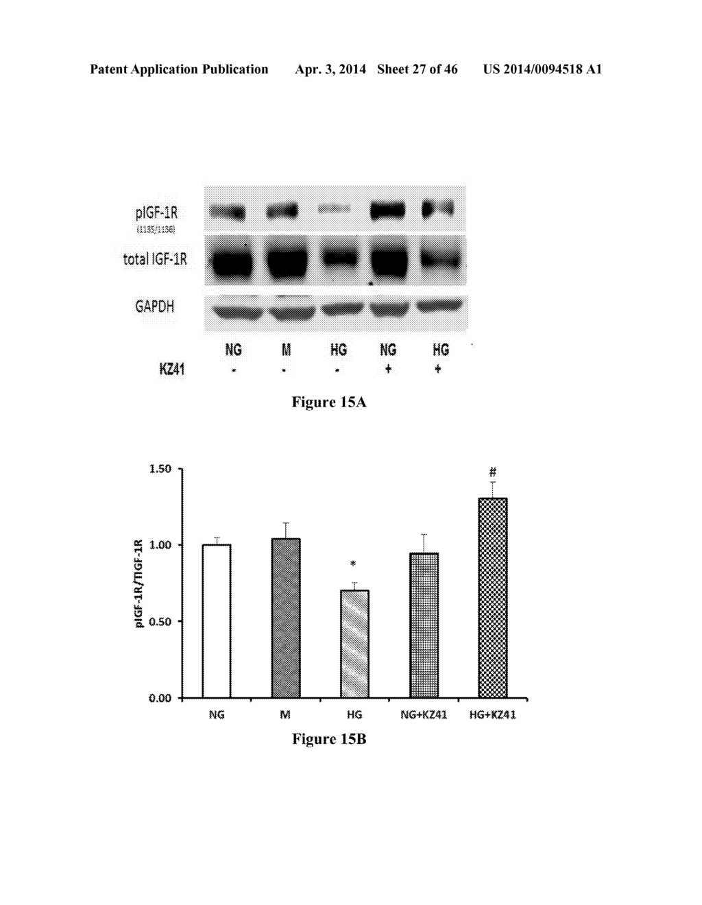 METHOD FOR REGULATING RETINAL ENDOTHELIAL CELL VIABILITY - diagram, schematic, and image 28