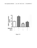 METHOD FOR REGULATING RETINAL ENDOTHELIAL CELL VIABILITY diagram and image