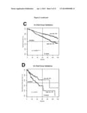 PROGNOSTIC AND THERAPEUTIC SIGNATURE FOR MALIGNANT MELANOMA diagram and image