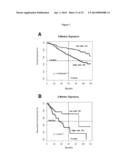 PROGNOSTIC AND THERAPEUTIC SIGNATURE FOR MALIGNANT MELANOMA diagram and image