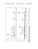 Immunoaffinity Isolation of Modified Peptides From Complex Mixtures diagram and image