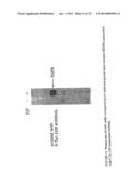 Immunoaffinity Isolation of Modified Peptides From Complex Mixtures diagram and image