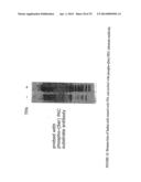 Immunoaffinity Isolation of Modified Peptides From Complex Mixtures diagram and image