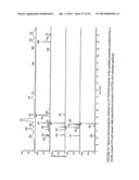 Immunoaffinity Isolation of Modified Peptides From Complex Mixtures diagram and image