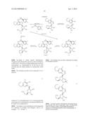 NEW INTERMEDIATES AND PROCESSES FOR PREPARING TICAGRELOR diagram and image