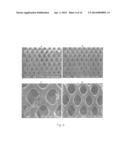 STENT DELIVERY SYSTEM diagram and image