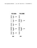 Physical Activity Feedback Systems and Methods diagram and image