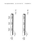 SYSTEM AND METHOD FOR TRADING ORDER PRIORITY LEVELS IN AN ELECTRONIC     TRADING ENVIRONMENT diagram and image