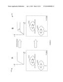 USING ENTIRE AREA OF CHIP IN TDDB CHECKING diagram and image