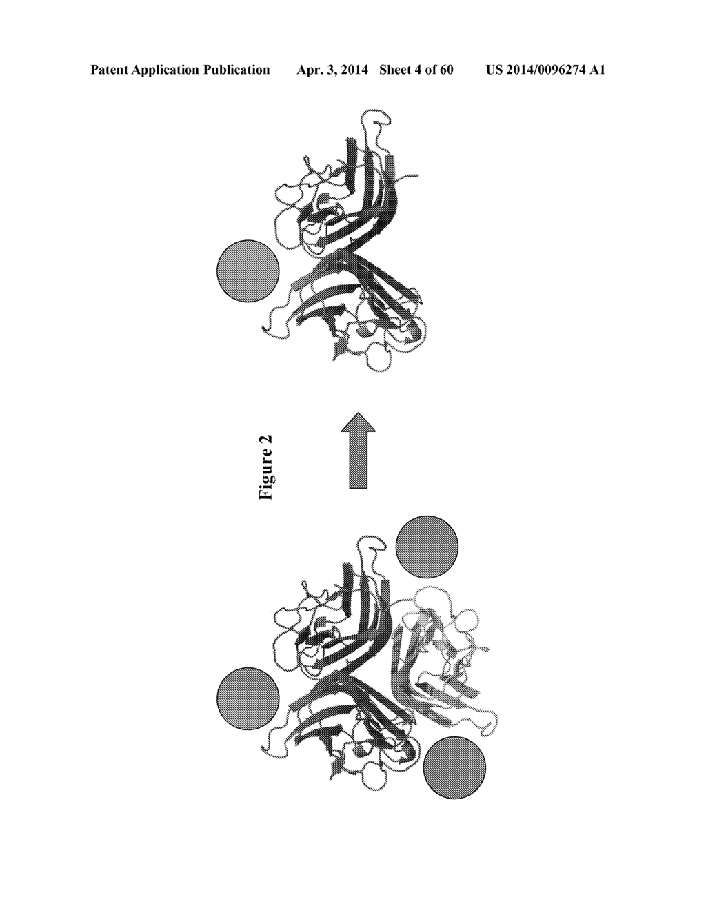 TNF Family Ligand Variants - diagram, schematic, and image 05