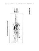 Hydraulic Fracturing Process for Deviated Wellbores diagram and image