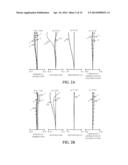 ZOOM LENS AND IMAGE-PICKUP APPARATUS diagram and image