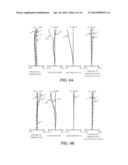 ZOOM LENS AND IMAGE-PICKUP APPARATUS diagram and image