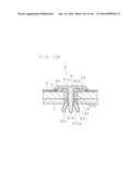 LIGHT SOURCE DEVICE AND DISPLAY DEVICE diagram and image