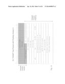 METHOD AND SYSTEM FOR PIGGYBACKING RADIO DATA IN IP MEASUREMENTS diagram and image