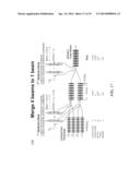 SINGLE PASS RF DRIVER diagram and image