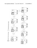 IMAGE DISPLAY APPARATUS AND IMAGE DISPLAY METHOD diagram and image