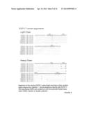 Novel EGFR-Binding Molecules and Immunoconjugates Thereof diagram and image