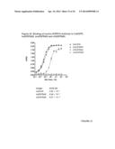 Novel EGFR-Binding Molecules and Immunoconjugates Thereof diagram and image