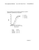 Novel EGFR-Binding Molecules and Immunoconjugates Thereof diagram and image