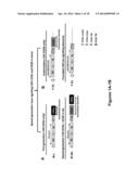 Use of a Trans-Signaling Approach in Chimeric Antigen Receptors diagram and image