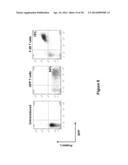 Use of a Trans-Signaling Approach in Chimeric Antigen Receptors diagram and image