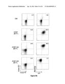 Use of a Trans-Signaling Approach in Chimeric Antigen Receptors diagram and image