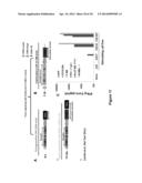 Use of a Trans-Signaling Approach in Chimeric Antigen Receptors diagram and image