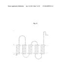 S. AUREUS POLYPEPTIDE AND ANTIBODIES diagram and image