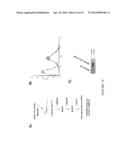 Compositions and Methods for Targeting Stromal Cells for the Treatment of     Cancer diagram and image