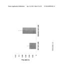 Compositions and Methods for Targeting Stromal Cells for the Treatment of     Cancer diagram and image