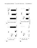 Compositions and Methods for Targeting Stromal Cells for the Treatment of     Cancer diagram and image