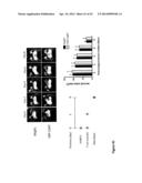 Compositions and Methods for Targeting Stromal Cells for the Treatment of     Cancer diagram and image