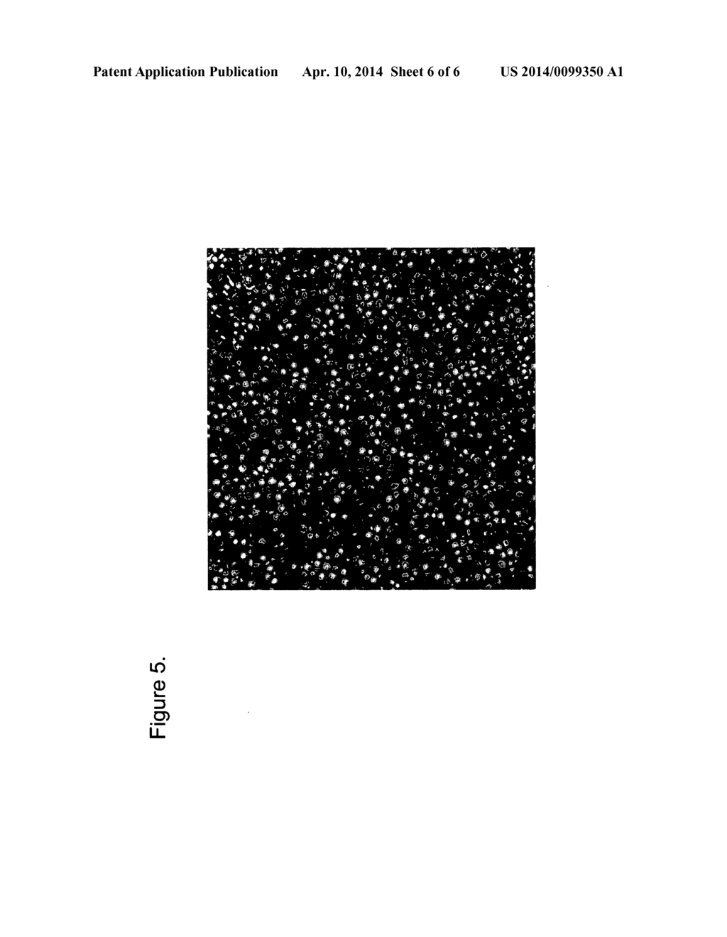 Anti-biocontaminant Products and Processes for Making the Same - diagram, schematic, and image 07