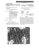 Polymer Webs Having Enhanced Softness diagram and image