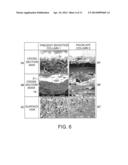 Polymer Webs Having Enhanced Softness diagram and image