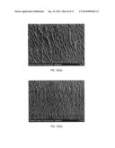 Polymer Webs Having Enhanced Softness diagram and image