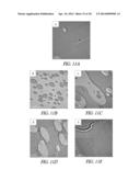 COMPOSITIONS INCLUDING ESTERIFIED LIGNIN AND POLY(LACTIC ACID) AND CARBON     FIBERS PRODUCED THEREFROM diagram and image