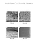 COMPOSITIONS INCLUDING ESTERIFIED LIGNIN AND POLY(LACTIC ACID) AND CARBON     FIBERS PRODUCED THEREFROM diagram and image