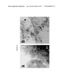 CATALYSTS MADE USING THERMALLY DECOMPOSABLE POROUS SUPPORTS diagram and image