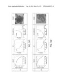 CATALYSTS MADE USING THERMALLY DECOMPOSABLE POROUS SUPPORTS diagram and image