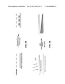 SPATIAL AND TEMPORAL CONTROL OF BRUSH FORMATION ON SURFACES diagram and image