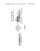 SPATIAL AND TEMPORAL CONTROL OF BRUSH FORMATION ON SURFACES diagram and image