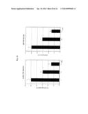 TDP-43-STORING CELL MODEL diagram and image